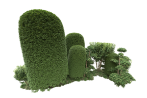 realistico foresta isolato su trasparente sfondo. 3d interpretazione - illustrazione png