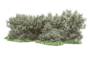 forêt réaliste isolée sur fond transparent. rendu 3d - illustration png