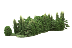 Realistic forest isolated on transparent background. 3d rendering - illustration png