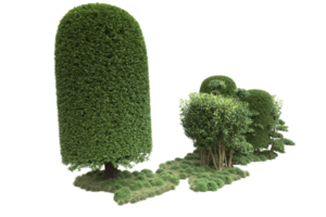 forêt réaliste isolée sur fond transparent. rendu 3d - illustration png