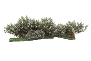 Realistic forest isolated on transparent background. 3d rendering - illustration png
