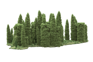 realistico foresta isolato su trasparente sfondo. 3d interpretazione - illustrazione png