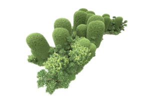 Realistic forest isolated on transparent background. 3d rendering - illustration png