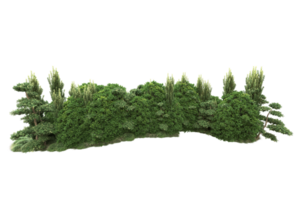 Realistic forest isolated on transparent background. 3d rendering - illustration png