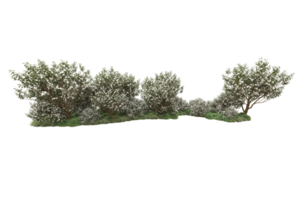 Realistic forest isolated on transparent background. 3d rendering - illustration png