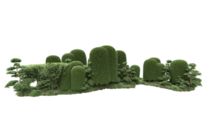 Realistic forest isolated on transparent background. 3d rendering - illustration png