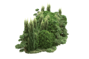 forêt réaliste isolée sur fond transparent. rendu 3d - illustration png