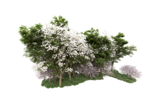 Realistic forest isolated on transparent background. 3d rendering - illustration png