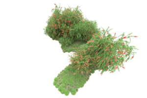 Realistic forest isolated on transparent background. 3d rendering - illustration png