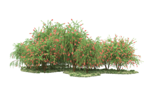 Realistic forest isolated on transparent background. 3d rendering - illustration png