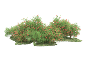 Realistic forest isolated on transparent background. 3d rendering - illustration png