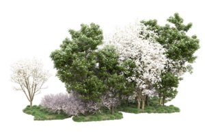 Realistic forest isolated on transparent background. 3d rendering - illustration png
