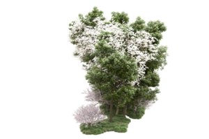 Realistic forest isolated on transparent background. 3d rendering - illustration png