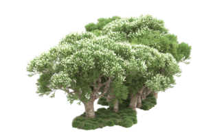 Realistic forest isolated on transparent background. 3d rendering - illustration png