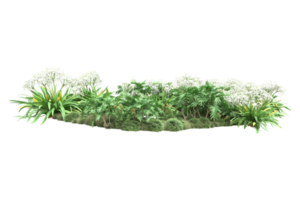 Realistic forest isolated on transparent background. 3d rendering - illustration png