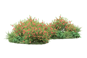 floresta realista isolada em fundo transparente. renderização 3D - ilustração png