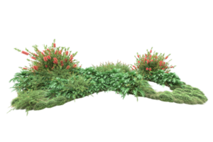 Realistic forest isolated on transparent background. 3d rendering - illustration png