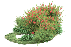 Realistic forest isolated on transparent background. 3d rendering - illustration png