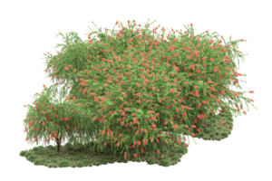 Realistic forest isolated on transparent background. 3d rendering - illustration png