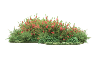 floresta realista isolada em fundo transparente. renderização 3D - ilustração png