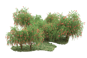 realistischer wald lokalisiert auf transparentem hintergrund. 3D-Rendering - Abbildung png