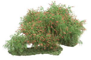 Realistic forest isolated on transparent background. 3d rendering - illustration png