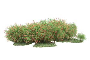 floresta realista isolada em fundo transparente. renderização 3D - ilustração png