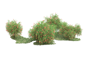 realistico foresta isolato su trasparente sfondo. 3d interpretazione - illustrazione png