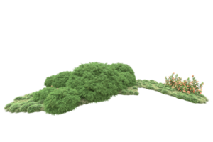 Realistic forest isolated on transparent background. 3d rendering - illustration png