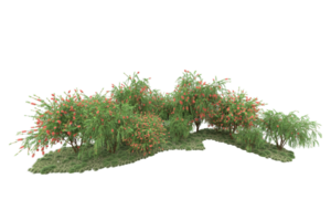 Realistic forest isolated on transparent background. 3d rendering - illustration png