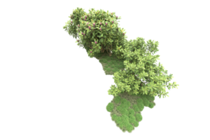 forêt réaliste isolée sur fond transparent. rendu 3d - illustration png