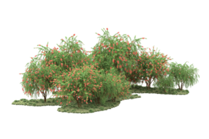 floresta realista isolada em fundo transparente. renderização 3D - ilustração png