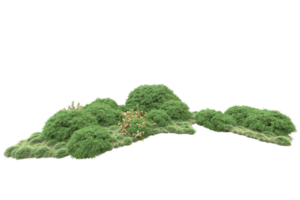 Realistic forest isolated on transparent background. 3d rendering - illustration png