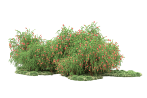 Realistic forest isolated on transparent background. 3d rendering - illustration png