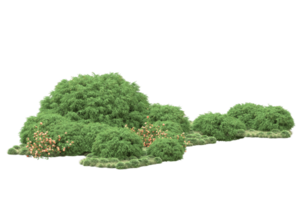 forêt réaliste isolée sur fond transparent. rendu 3d - illustration png