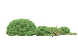 Realistic forest isolated on transparent background. 3d rendering - illustration png