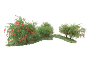 floresta realista isolada em fundo transparente. renderização 3D - ilustração png