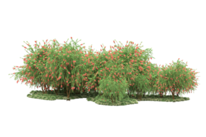 Realistic forest isolated on transparent background. 3d rendering - illustration png