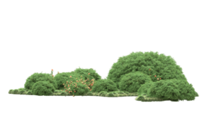 Realistic forest isolated on transparent background. 3d rendering - illustration png