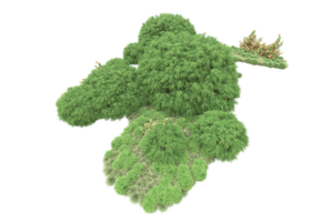 floresta realista isolada em fundo transparente. renderização 3D - ilustração png