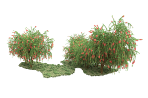 Realistic forest isolated on transparent background. 3d rendering - illustration png