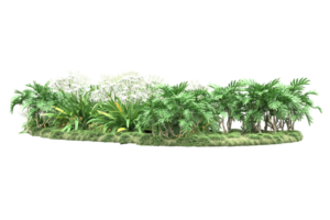 Realistic forest isolated on transparent background. 3d rendering - illustration png