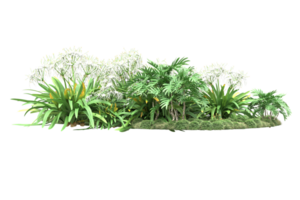 Realistic forest isolated on transparent background. 3d rendering - illustration png