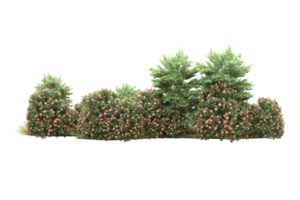 Realistic forest isolated on transparent background. 3d rendering - illustration png