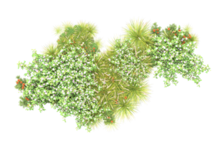 Realistic forest isolated on transparent background. 3d rendering - illustration png