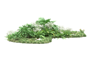 forêt réaliste isolée sur fond transparent. rendu 3d - illustration png