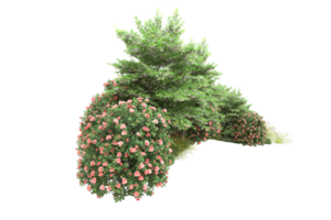 Realistic forest isolated on transparent background. 3d rendering - illustration png