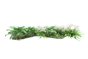 Realistic forest isolated on transparent background. 3d rendering - illustration png