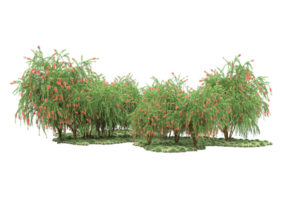 forêt réaliste isolée sur fond transparent. rendu 3d - illustration png