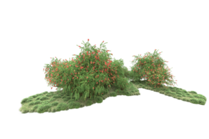 Realistic forest isolated on transparent background. 3d rendering - illustration png